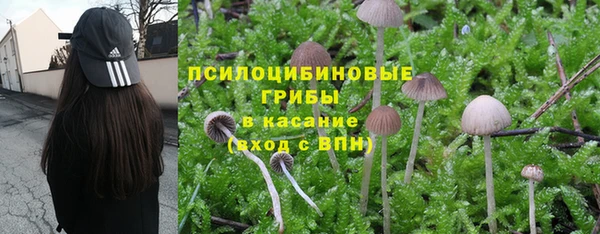spice Баксан