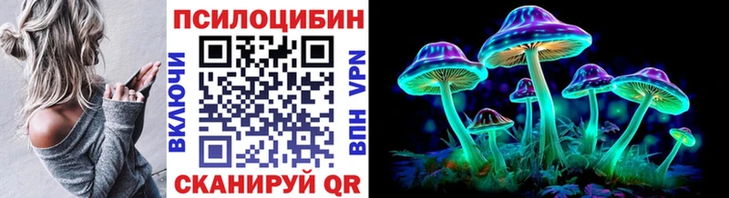 Галлюциногенные грибы Psilocybe  Красноярск 