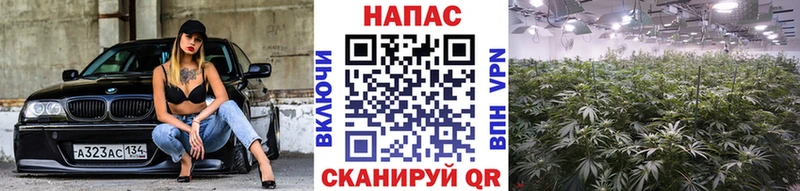 Бошки Шишки AK-47  купить наркоту  Красноярск 